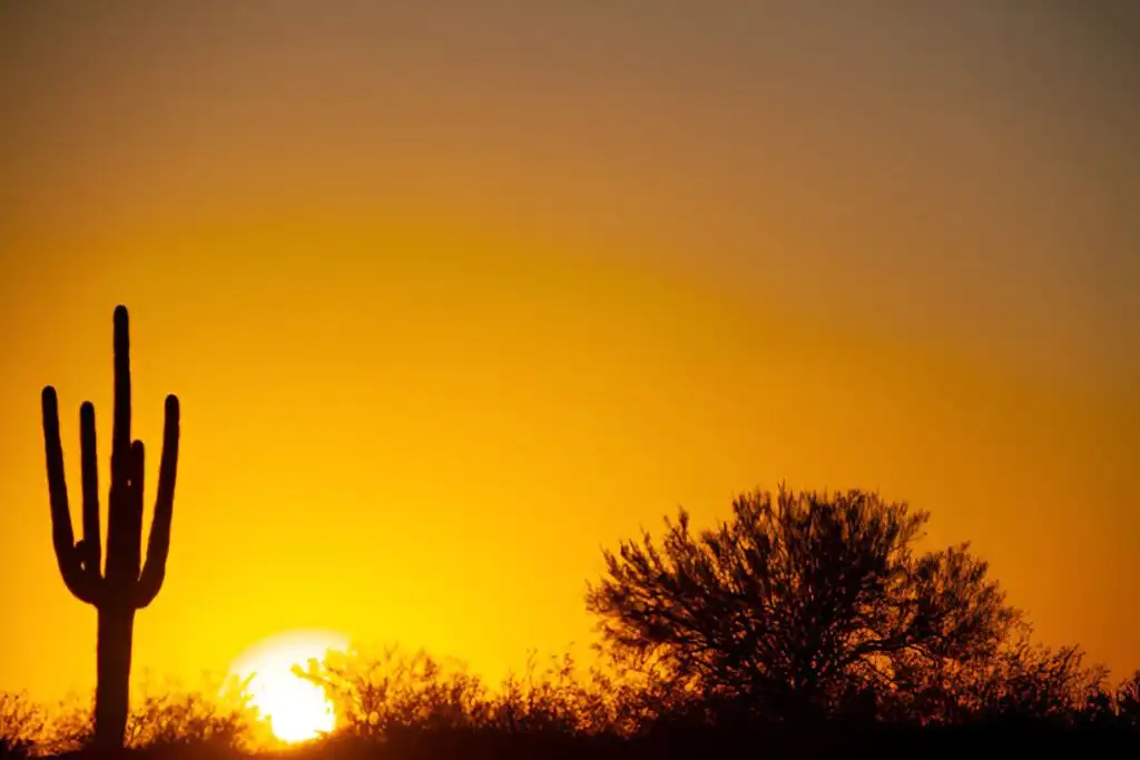 Sunsets Arizona's Desert