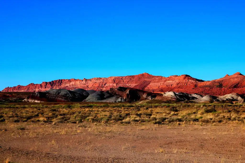 The Arizona Desert
