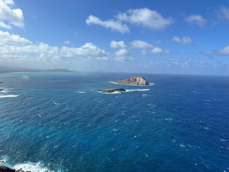 Remote coastal beauty