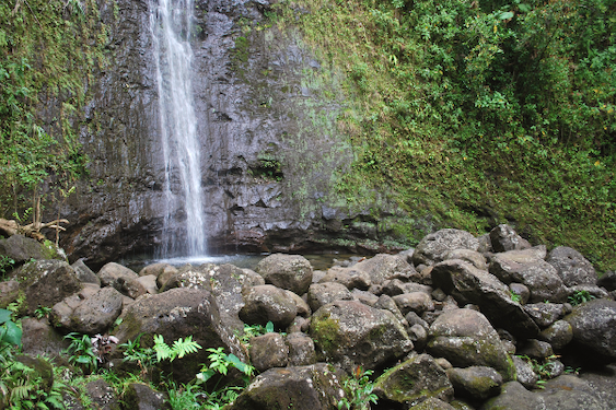 Manoa-Falls